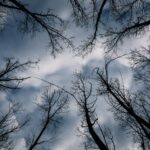 Σε «Red Code» Αττική και άλλες 4 περιφέρειες – Πού αναμένονται έντονα φαινόμενα