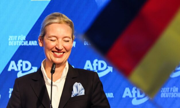 Γερμανία: Προβάδισμα του AfD σε νέα δημοσκόπηση
