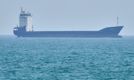 Ελάχιστα πλοία πρόλαβαν να διαβούν τα Στενά το Ορμούζ – Αγωνία για το άνοιγμα των αγορών