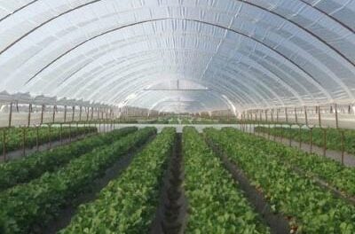 Στόχος η διασφάλιση επάρκειας πρώτων υλών – Αύξηση στα μεγέθη του 2025