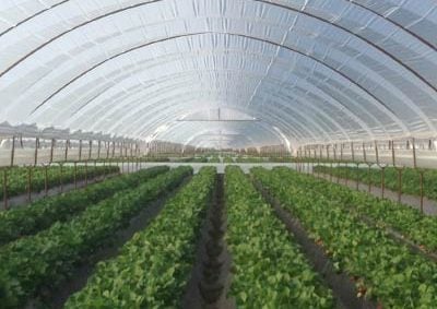 Στόχος η διασφάλιση επάρκειας πρώτων υλών – Αύξηση στα μεγέθη του 2025