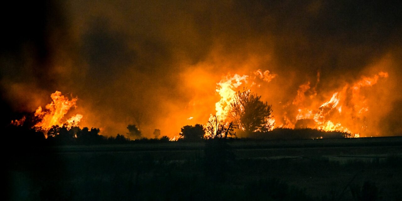 2 συλλήψεις για σε Κορινθία και Αχαΐα – Βαριά πρόστιμα