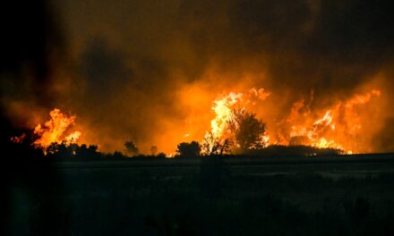 2 συλλήψεις για σε Κορινθία και Αχαΐα – Βαριά πρόστιμα