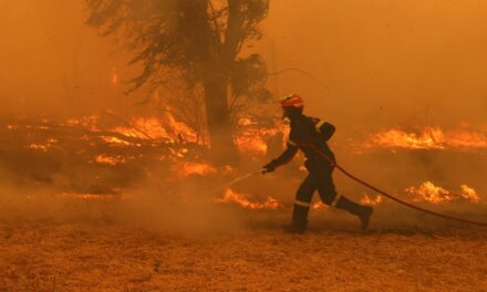 Αύριο η έναρξη της αντιπυρικής περιόδου