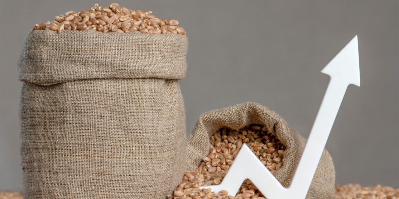 Η επόμενη παγκόσμια κρίση είναι στο πιάτο μας