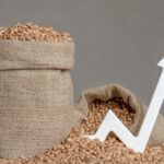 Η επόμενη παγκόσμια κρίση είναι στο πιάτο μας