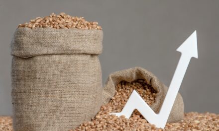 Η επόμενη παγκόσμια κρίση είναι στο πιάτο μας