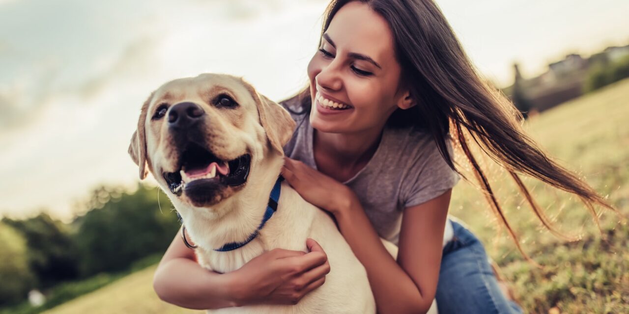 Οι σκύλοι μίκρυναν το μυαλό τους για να μπορέσουν να ζήσουν με τον άνθρωπο