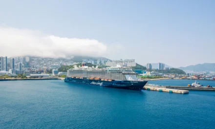 2 κρουαζιερόπλοια πέρασαν τα Στενά του Ορμούζ