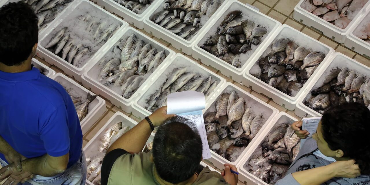 Πρόγραμμα 16 εκατ. ευρώ για την αλιεία ανακοίνωσε από την Ιχθυόσκαλα ο Μ. Σχοινάς – Πότε λήγει η προθεσμία για τις αιτήσεις