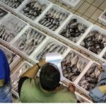 Πρόγραμμα 16 εκατ. ευρώ για την αλιεία ανακοίνωσε από την Ιχθυόσκαλα ο Μ. Σχοινάς – Πότε λήγει η προθεσμία για τις αιτήσεις