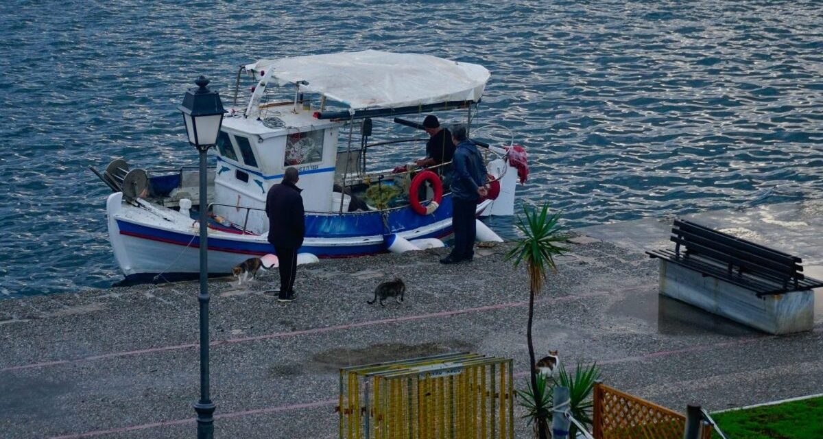 Πρόγραμμα 16 εκατ. ευρώ για επαγγελματίες αλιείς: Οι όροι και οι δικαιούχοι – Ποιες δαπάνες καλύπτονται