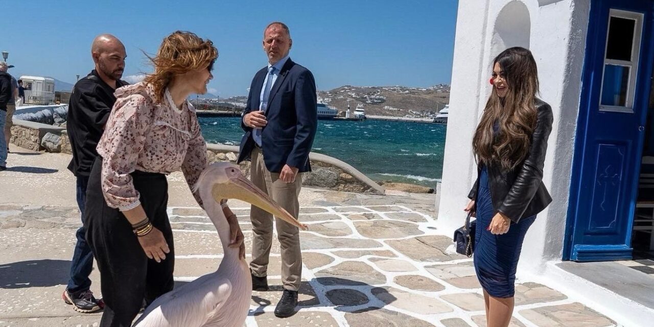 Κ. Γκιλφόιλ: Η Μύκονος αναδεικνύει πολυάριθμες ευκαιρίες για στενότερη συνεργασία ΗΠΑ