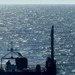 Δεν κατάφερε να ζήσει η φάλαινα που είχε εξοκείλει στην Γερμανία παρά την απελευθέρωσή της