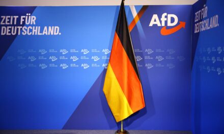 Παραμένει πρώτη η AfD και σε νέα δημοσκόπηση