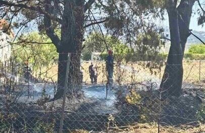 Συνελήφθη 89χρονος για την φωτιά στο Κρυονέρι