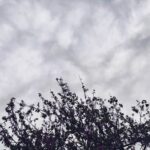Καιρός: Φθινοπωρινό σκηνικό το Σαββατοκύριακο