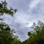 Αυξημένες νεφώσεις, κρύο και βοριάδες έως 7 μποφόρ