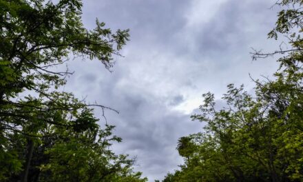 Αυξημένες νεφώσεις, κρύο και βοριάδες έως 7 μποφόρ