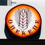 Αποστολάκη: Η προσπάθεια συγκάλυψης του σκανδάλου του ΟΠΕΚΕΠΕ συνεχίζεται και στην Ευρώπη