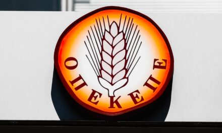 Αποστολάκη: Η προσπάθεια συγκάλυψης του σκανδάλου του ΟΠΕΚΕΠΕ συνεχίζεται και στην Ευρώπη