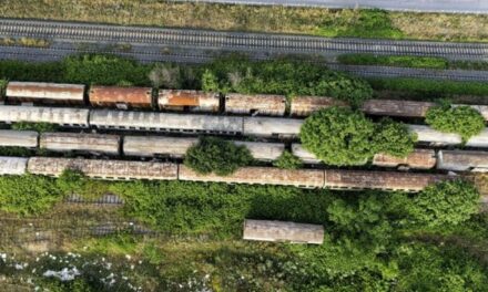 ΟΣΕ: 1.231 παλιά βαγόνια απομακρύνονται από το δίκτυο