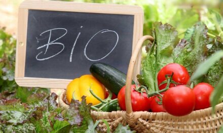 Σχοινάς: Ακυρώνουμε τις προβληματικές δράσεις σε βιολογική μελισσοκομία και κτηνοτροφία – Χρειαζόμαστε ένα νέο ξεκίνημα