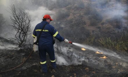 Σαλαμίνα: Υπό έλεγχο η πυρκαγιά – Έρευνα για εμπρησμό