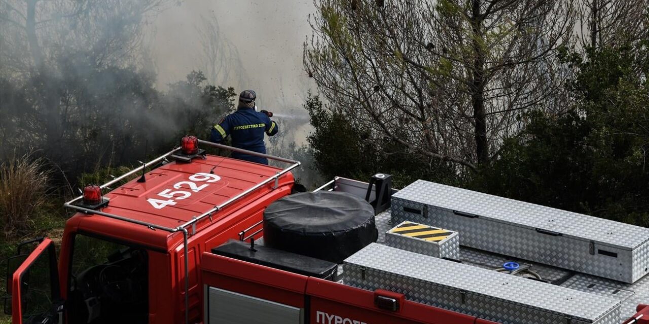 Ελεώνας Θηβών: Οριοθετήθηκε η πυρκαγιά