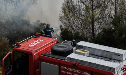 Ελεώνας Θηβών: Οριοθετήθηκε η πυρκαγιά