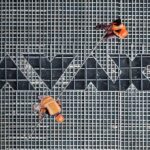 Όμιλος ΑΒΑΞ: Καθαρά κέρδη 10,6 εκατ. το α’ τρίμηνο