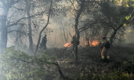 Κορινθία: Οριοθετήθηκε το πύρινο μέτωπο στη Σκαλωσιά Περαχώρας