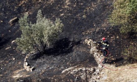 Πέντε συλλήψεις για πυρκαγιές από αμέλεια σε μία ημέρα