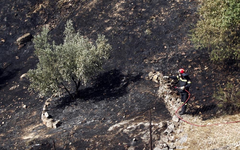 Πέντε συλλήψεις για πυρκαγιές από αμέλεια σε μία ημέρα
