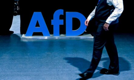 Σάλος με φωτογραφία στελέχους του AfD που φέρεται να χαιρετά ναζιστικά