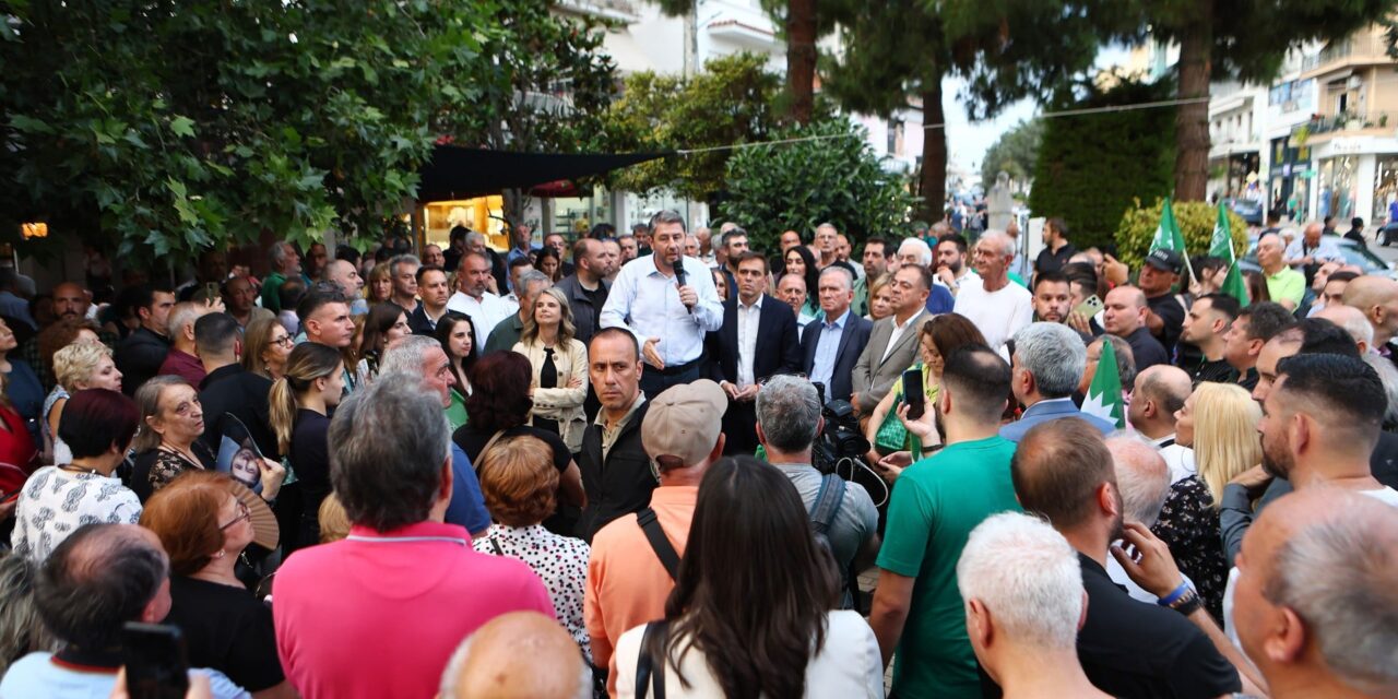 Ν. Ανδρουλάκης στη Νέα Ιωνία: Η ΝΔ «ψάχνει έναν μπαμπούλα»