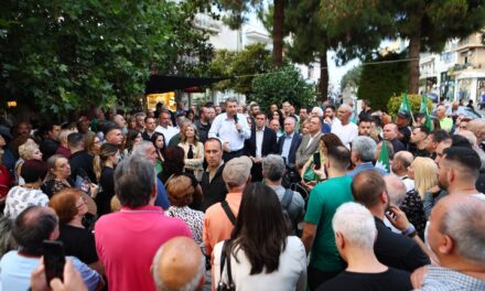 Ν. Ανδρουλάκης στη Νέα Ιωνία: Η ΝΔ «ψάχνει έναν μπαμπούλα»