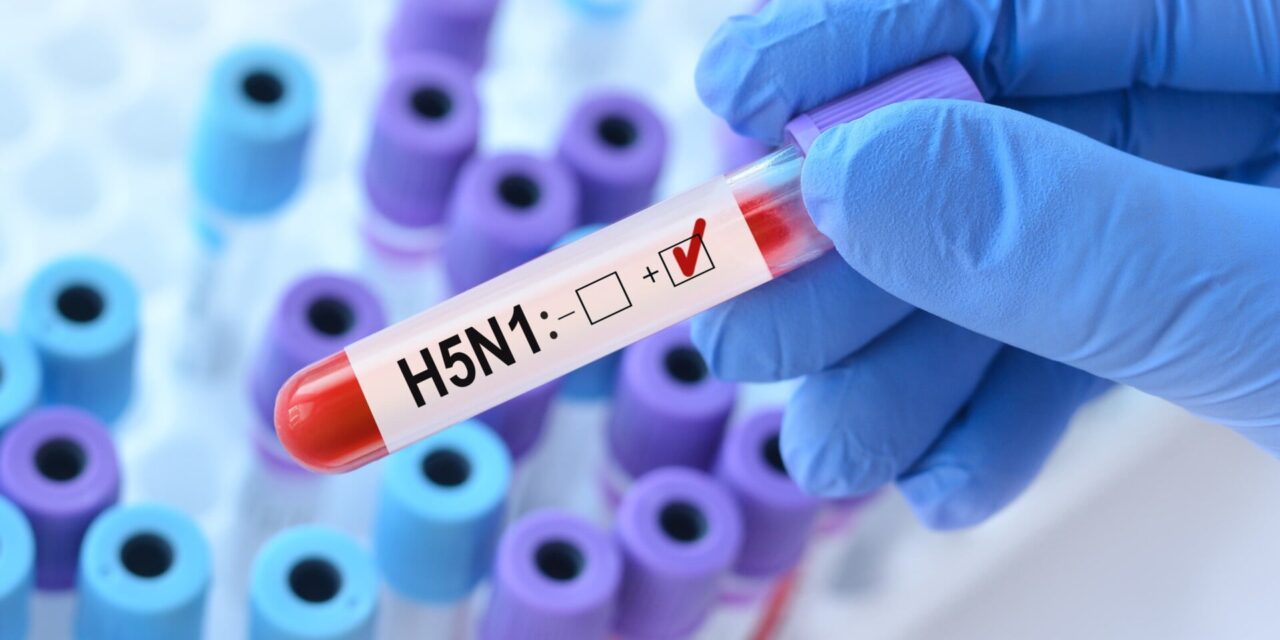 Πρώτο κρούσμα της γρίπης των πτηνών H5N1 στην Αυστραλία