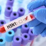 Πρώτο κρούσμα της γρίπης των πτηνών H5N1 στην Αυστραλία