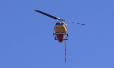 Φωτιά σε αγροτοδασική έκταση στη Ροδόπη – Περιορίστηκε άμεσα