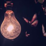 Υπάρχουν τρεις φορές περισσότερα είδη εντόμων από όσα πιστεύαμε