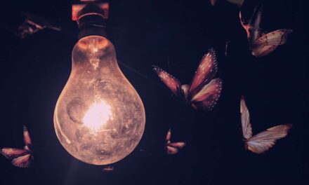 Υπάρχουν τρεις φορές περισσότερα είδη εντόμων από όσα πιστεύαμε