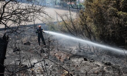 Άμεσα τέθηκε υπό μερικό έλεγχο η φωτιά στην Βλυχάδα Μεγάρων Αττικής