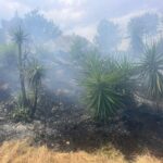 Αθώος ο μελισσοκόμος για την φωτιά στο Άλσος Βεΐκου