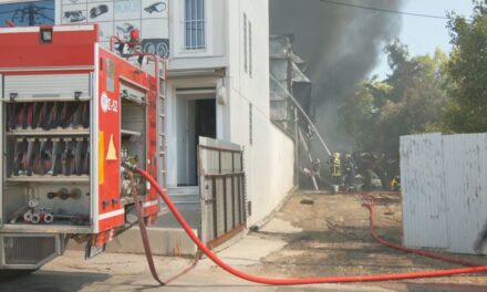 ΕΣΕΕ: Άμεση νομοθετική ρύθμιση για τα πυρόπληκτα δάνεια με εγγύηση του Ελληνικού Δημοσίου