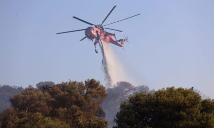 Οριοθετήθηκαν οι δύο πυρκαγιές σε Άνω Αλμυρή και Αγγελόκαστρο