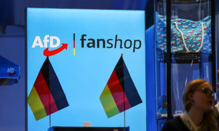 «Εξακριβωμένα ακροδεξιά» η AfD της Κάτω Σαξονίας, σύμφωνα με δικαστική απόφαση