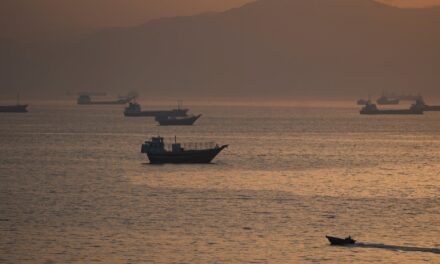 Τέλη υπηρεσιών και όχι διόδια στα Στενά του Ορμούζ
