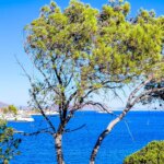 Μικρή άνοδος της θερμοκρασίας και ισχυρό μελτέμι