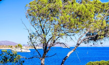 Μικρή άνοδος της θερμοκρασίας και ισχυρό μελτέμι